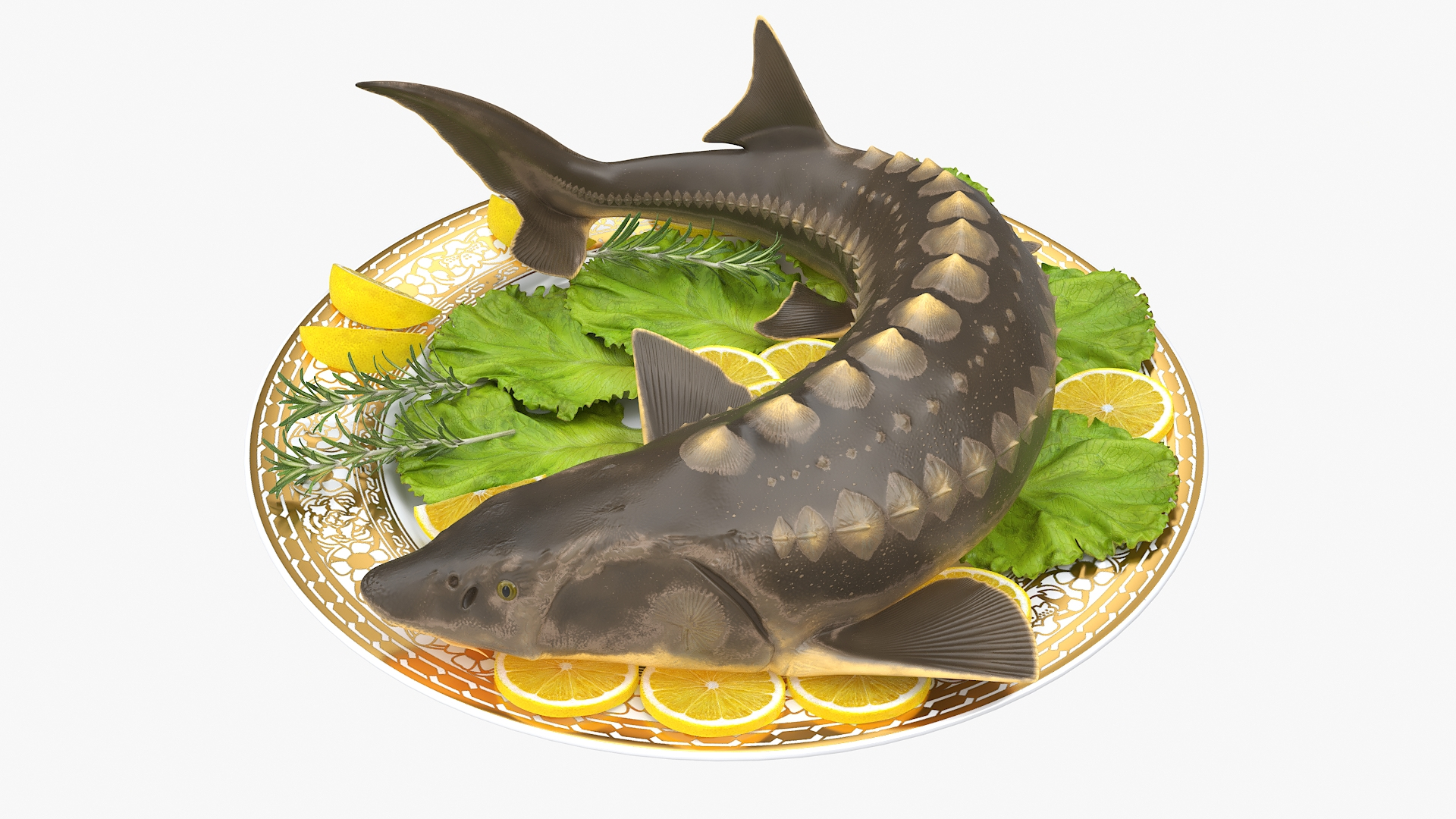 Plated Sturgeon with Herbs and Lemons 3D https://p.turbosquid.com/ts-thumb/IL/nXl0Fw/zj/plated_sturgeon_with_herbs_and_lemons_360/jpg/1755636586/1920x1080/turn_fit_q99/a9253edde2daa5d83ec223ff17e438d0d5fc8b0d/plated_sturgeon_with_herbs_and_lemons_360-1.jpg