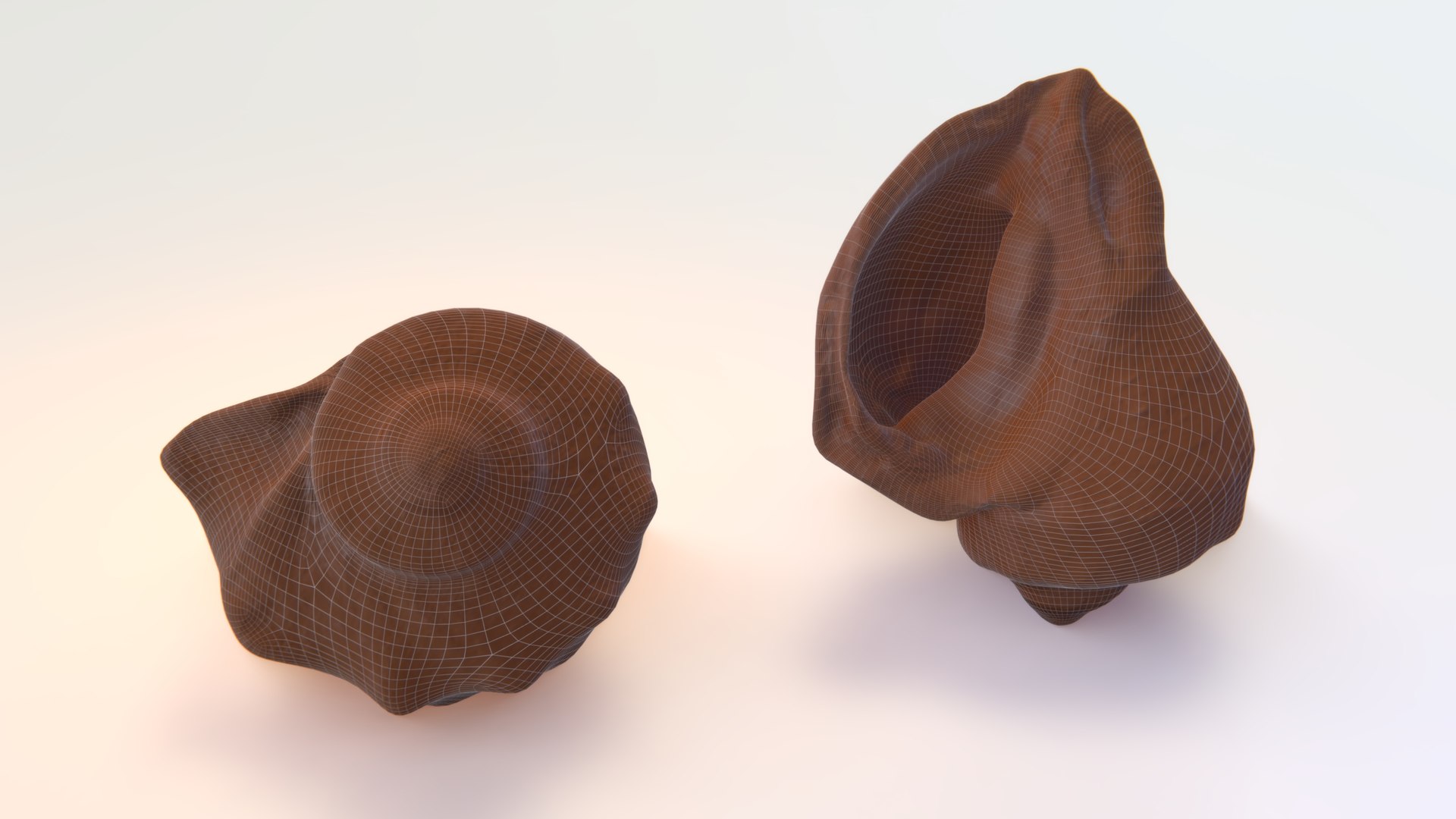 3D seashell rapana model - TurboSquid 1475577