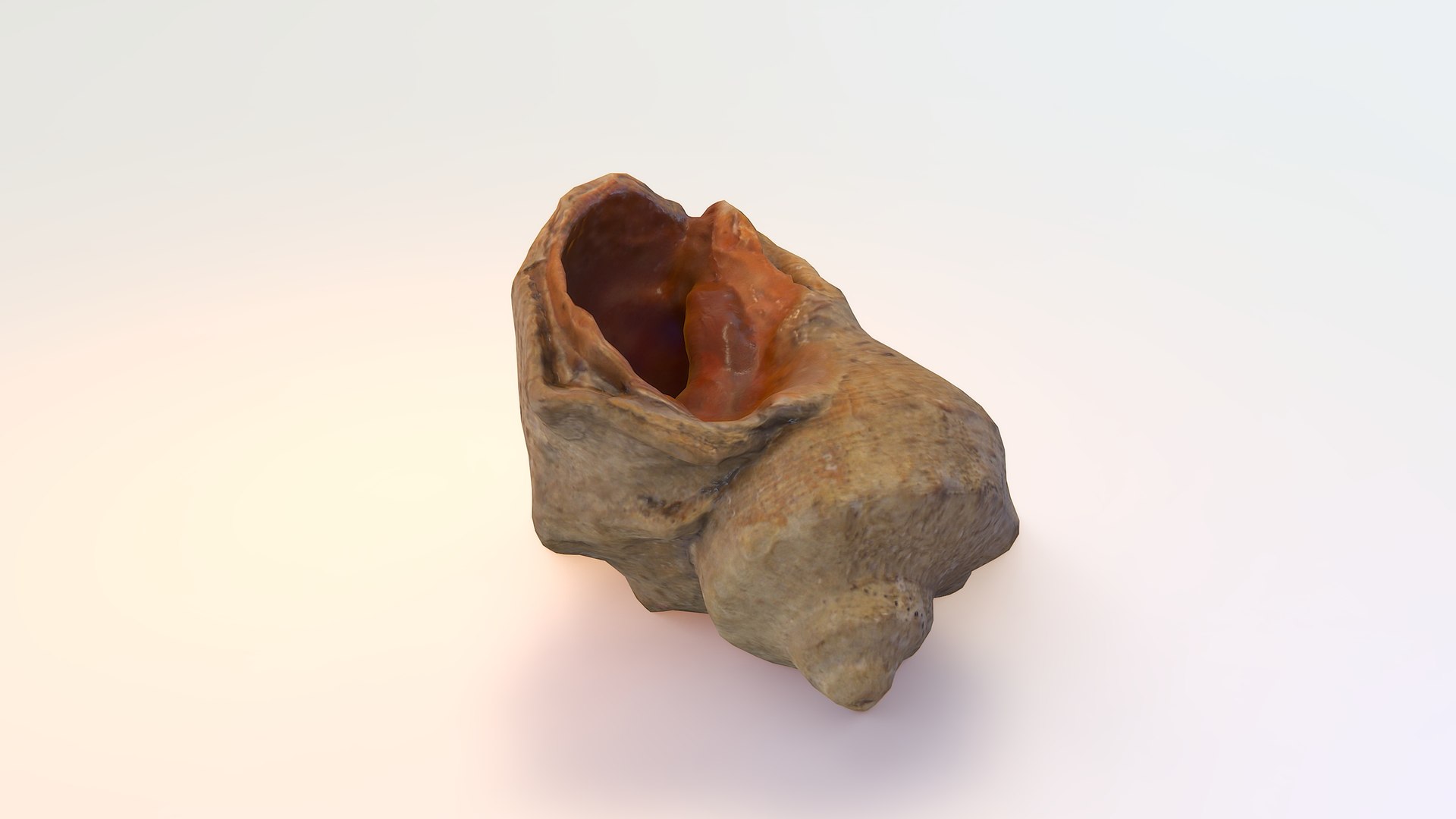 3D seashell rapana model https://p.turbosquid.com/ts-thumb/IL/o3O2KX/uHIoJ6J4/pr00/jpg/1574719915/1920x1080/fit_q87/66577e91580fbd0ce41644e961d270e1d23109b6/pr00.jpg