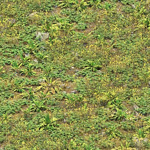 Wild Ground Plants Collection Vol 415 3D