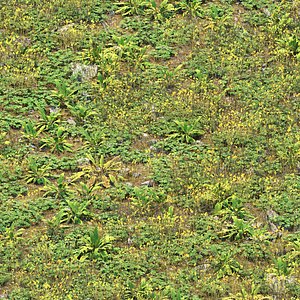 Wild Ground Plants Collection Vol 415