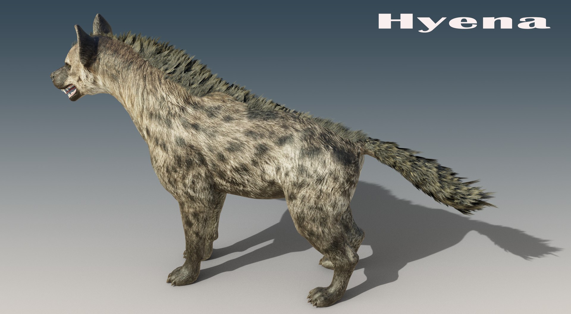 3D model Hyena Rigged https://p.turbosquid.com/ts-thumb/IL/sYCtrw/go/3/png/1674193586/1920x1080/fit_q87/fcde8453d1bb1427c66e88cf4e16f30216021b56/3.jpg