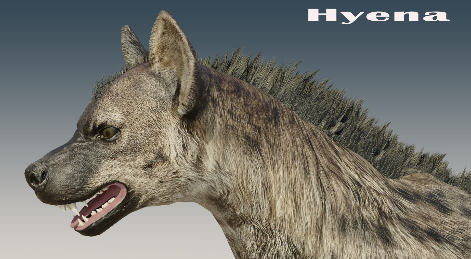 3D model Hyena Rigged https://p.turbosquid.com/ts-thumb/IL/sYCtrw/v1/5/png/1674193598/1920x1080/fit_q87/baf97f6cd0ce3617ec1bdc4b3c0fac763637d485/5.jpg