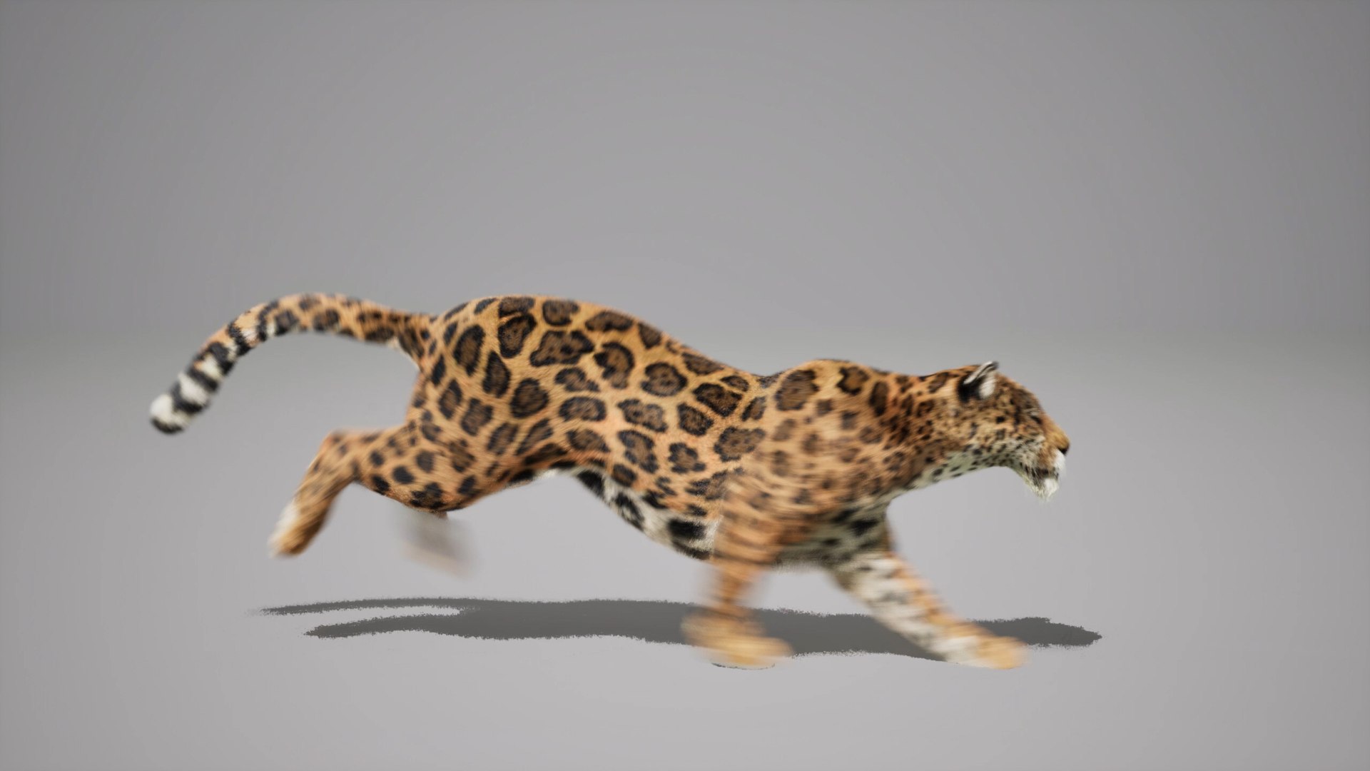 Jaguar Animated UNREAL project 3D model https://p.turbosquid.com/ts-thumb/IM/14fCkF/Cu/03/jpg/1728878257/1920x1080/fit_q87/adba2fb3eb81627864f2f84c58c4005e8fe994b1/03.jpg