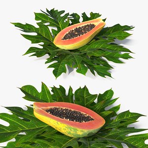3D Ripe Papaya Half with Black Seeds on Leaves Green