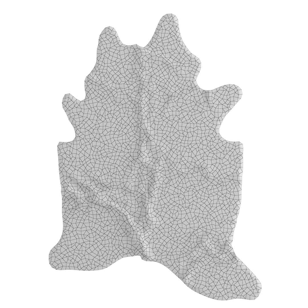 3D Animal Skin Rug 09 - TurboSquid 1779325