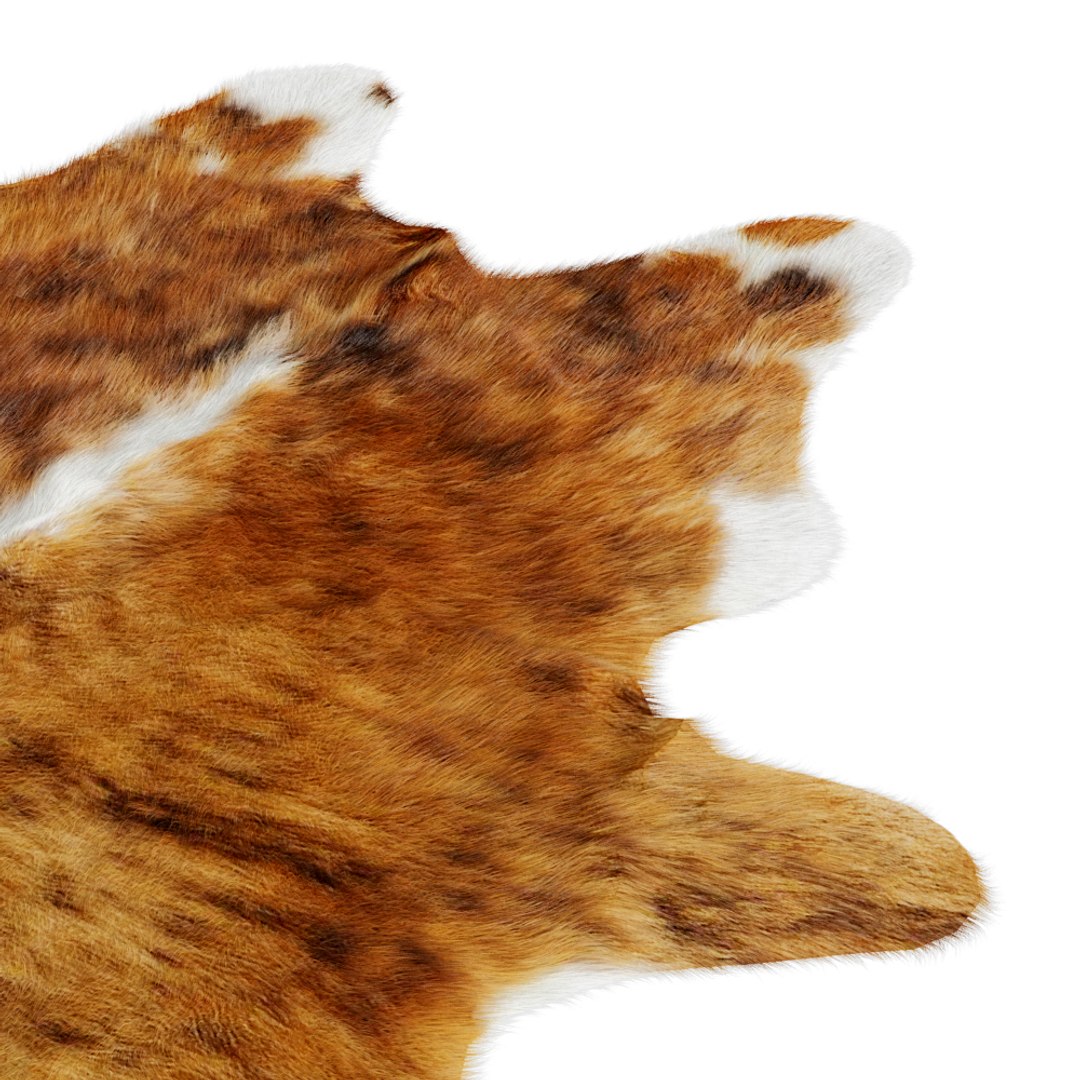 3D Animal Skin Rug 09 - TurboSquid 1779325