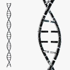 DNA Tech 3D model