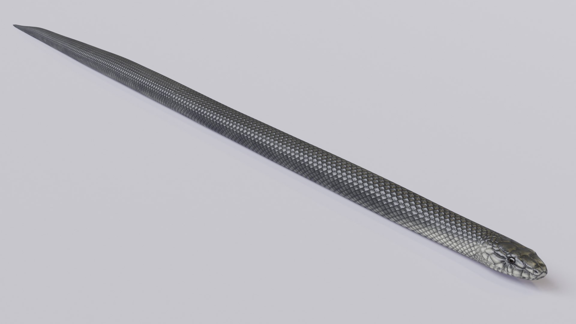 3D model black mamba animation https://p.turbosquid.com/ts-thumb/IM/Fe33uS/4JyUfrhQ/blackmamba_02/png/1576523333/1920x1080/fit_q87/55c1ff154c683518765b76dc7cc4ae3c147d7712/blackmamba_02.jpg