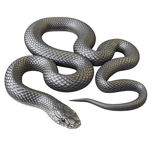 Snake OBJ Models for Download