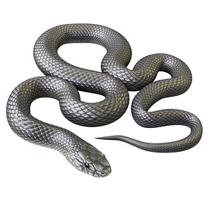 Animated Black Mamba