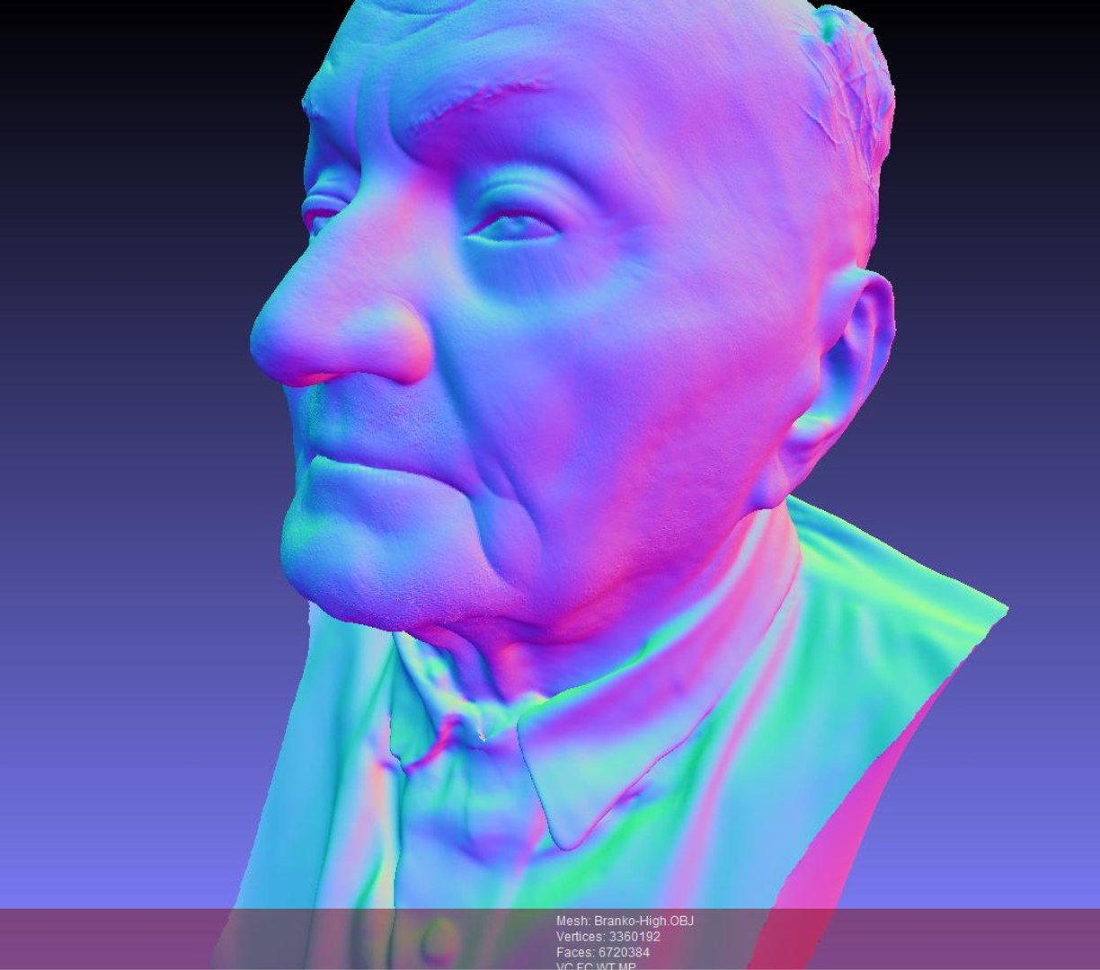 Head Bust 3d Obj