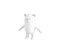 Lemur Character