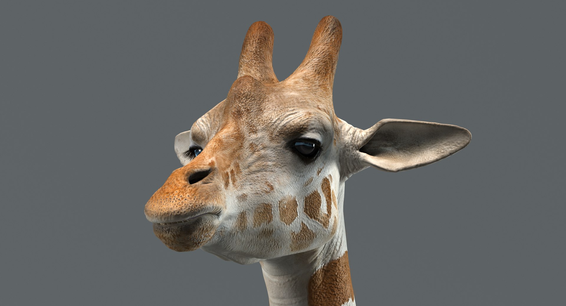 3D Realistic Giraffe Rigged Model - TurboSquid 1398245