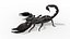 3D insect invertebrate arachnid
