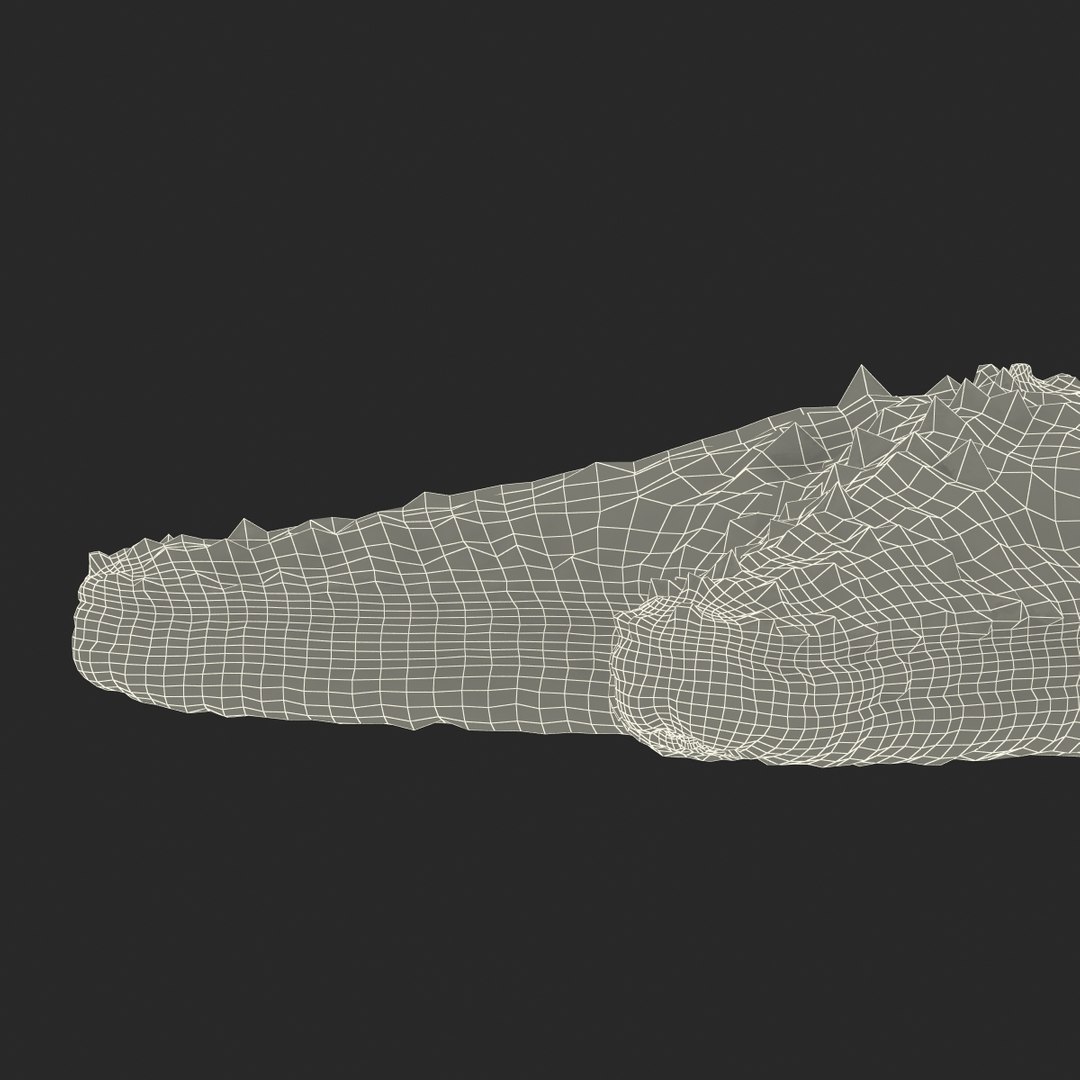 3d model starfish fur