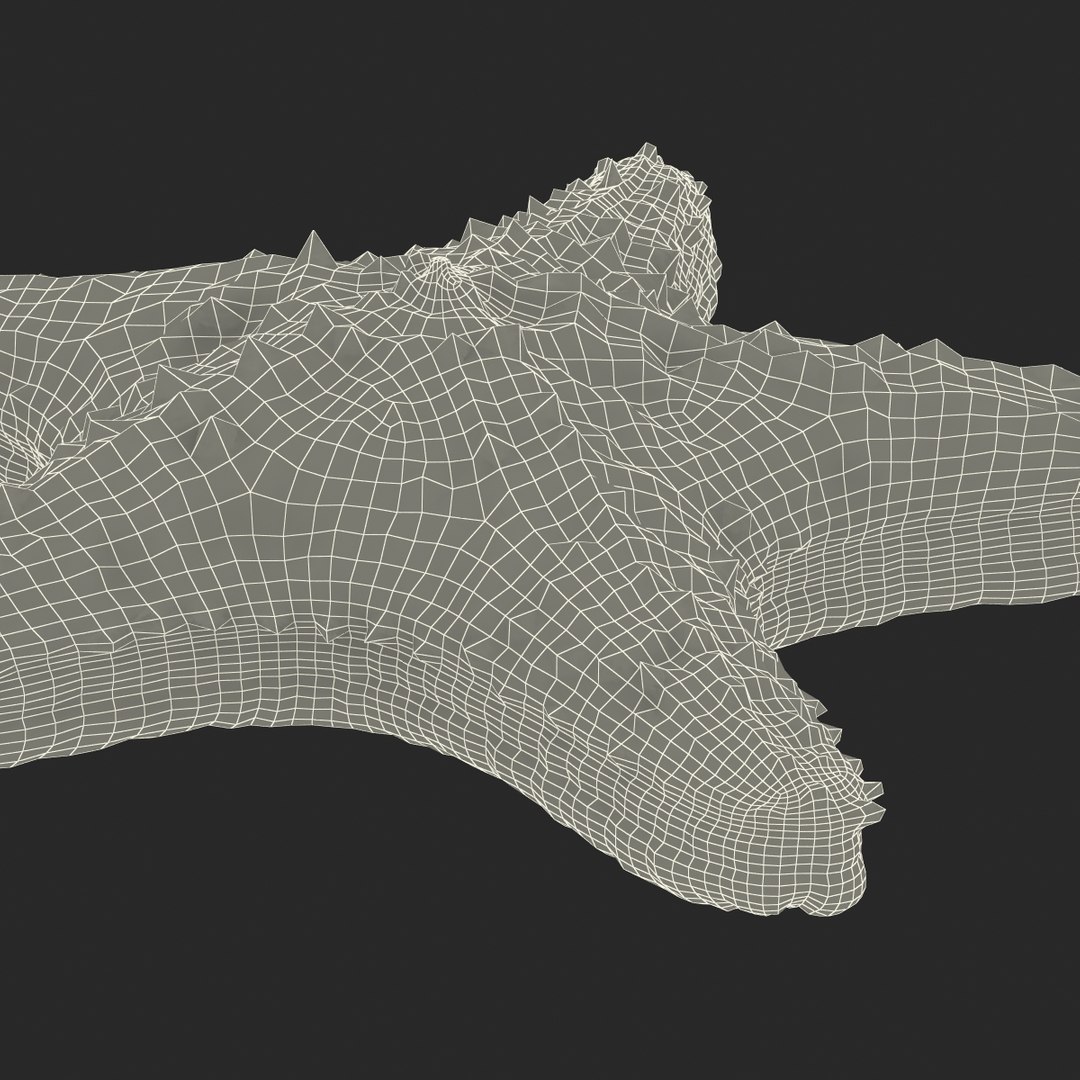 3d model starfish fur