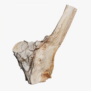 Scanned Trimmed Tree Wood 11 3D model