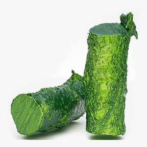 3D Apricot firewood log 3d scan