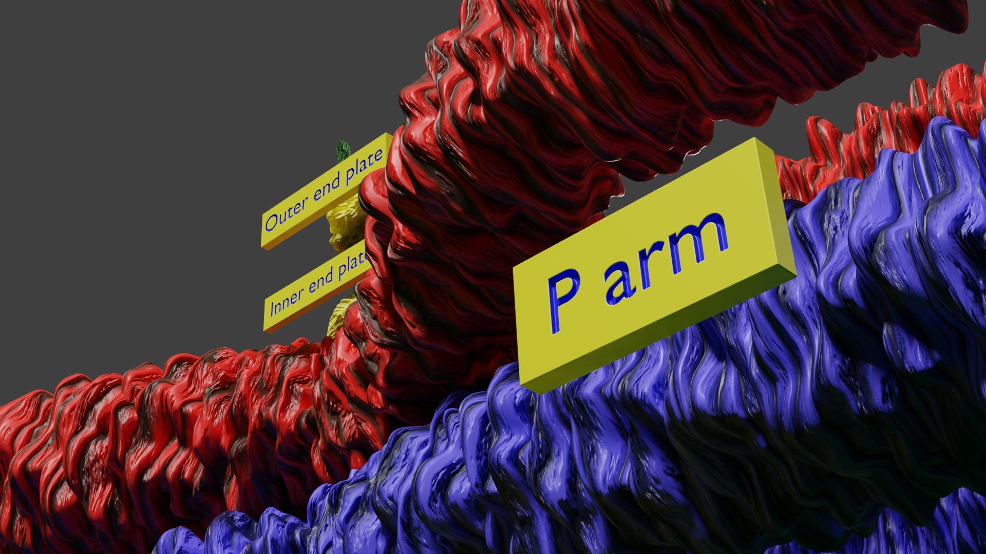 Chromosome homologous centromere kinetochore blender 3d model 3D model ...