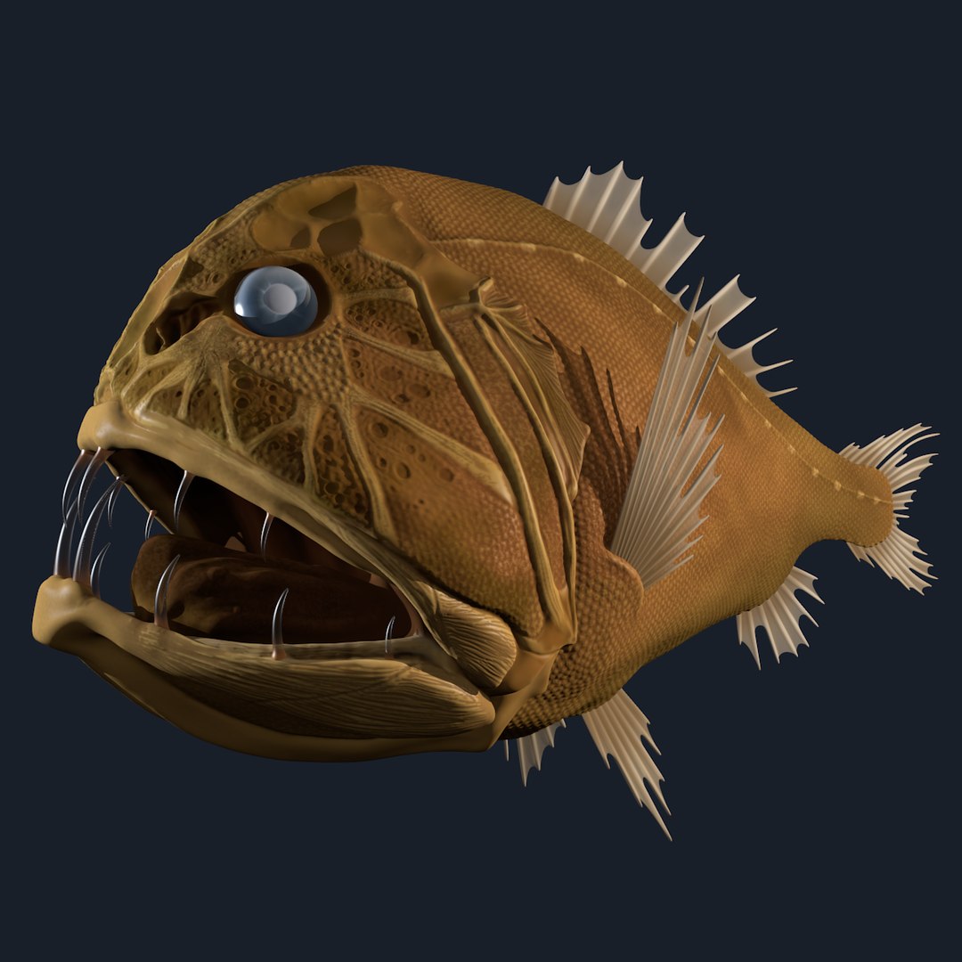 3d Fangtooth Fish Model