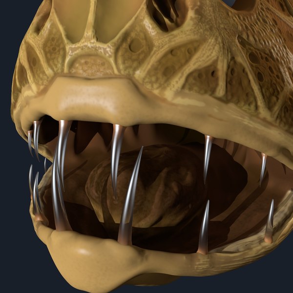 3d fangtooth fish model