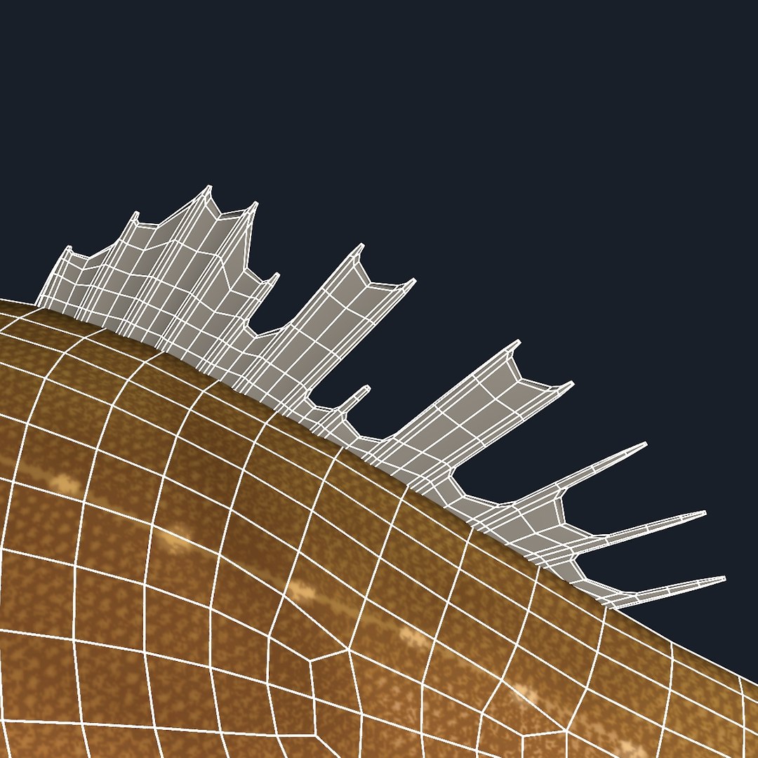 3d fangtooth fish model https://p.turbosquid.com/ts-thumb/IN/44sVII/xmjiZGT9/back_fin_wire/jpg/1506978982/1920x1080/fit_q87/8ad745fa11db9066728172f0a36633396abc07b5/back_fin_wire.jpg