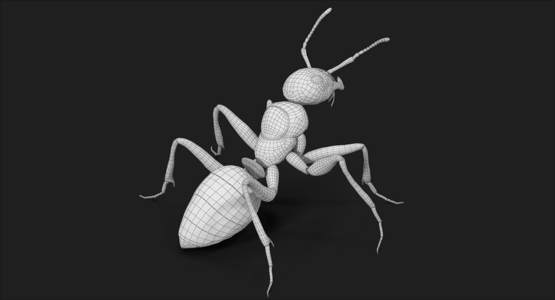 ant pose 2 max https://p.turbosquid.com/ts-thumb/IN/EZZMsE/FrM5gLvF/subdivision_level_006/jpg/1487485676/1920x1080/fit_q87/711909af52bbffbe78bf4891640e008741c5b800/subdivision_level_006.jpg