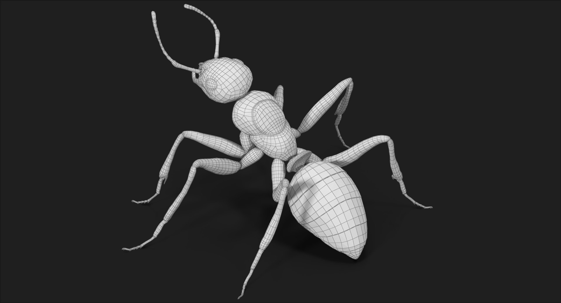 ant pose 2 max https://p.turbosquid.com/ts-thumb/IN/EZZMsE/NFUUDB6n/subdivision_level_007/jpg/1487485676/1920x1080/fit_q87/4406f835cf9a59ffca054880c2c5356712d7db07/subdivision_level_007.jpg