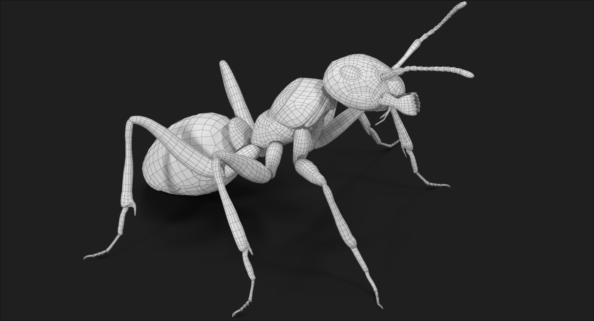 ant pose 2 max https://p.turbosquid.com/ts-thumb/IN/EZZMsE/tJjacrPJ/subdivision_level_005/jpg/1487485676/1920x1080/fit_q87/2021010657d9f3e5121cab52e5a94c422a7bc465/subdivision_level_005.jpg