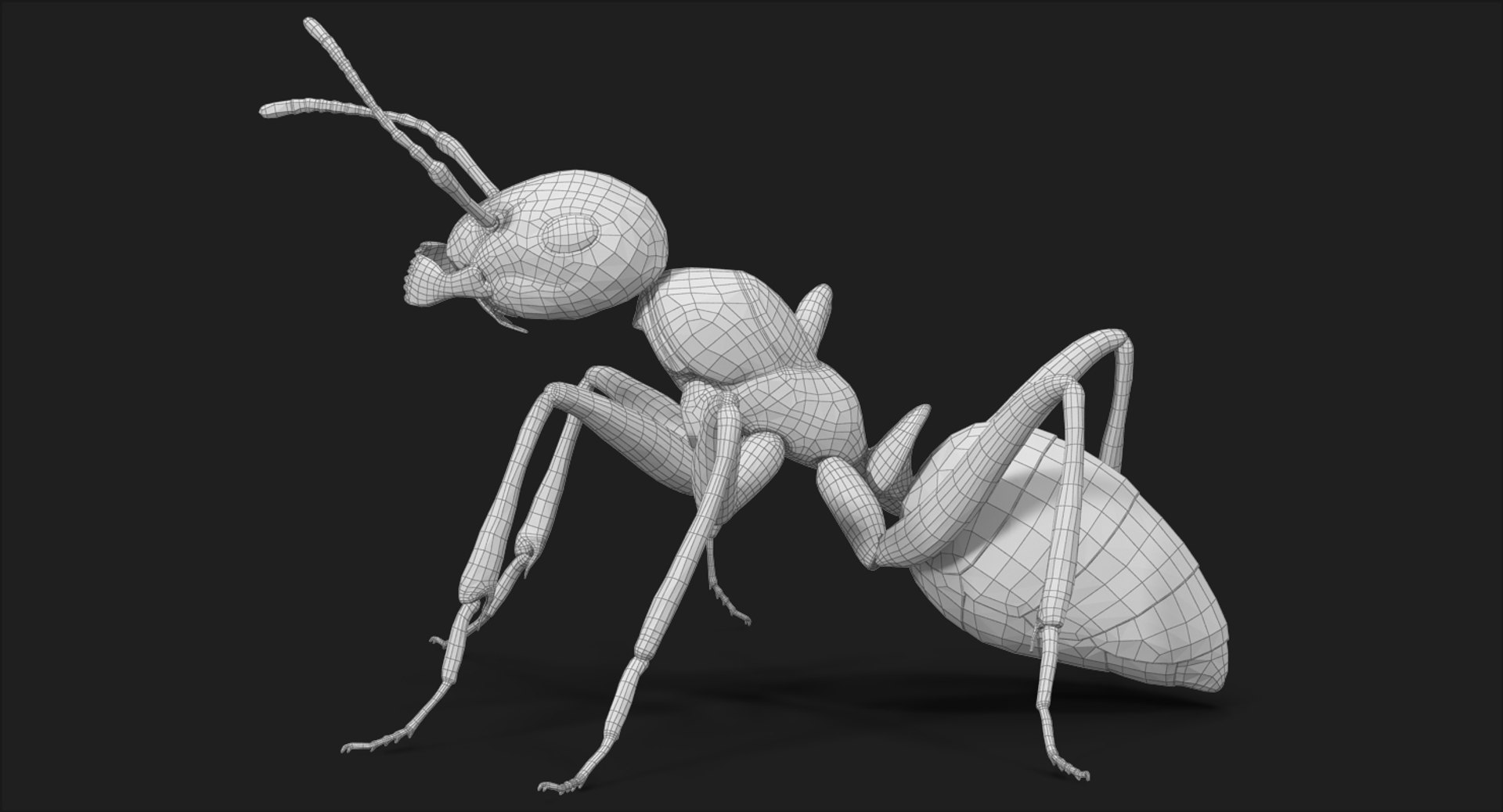 ant pose 2 max https://p.turbosquid.com/ts-thumb/IN/EZZMsE/uj27Ls2r/subdivision_level_017/jpg/1487485676/1920x1080/fit_q87/d5619e4e2e585a64fbf1f0cc5b28479cc3520725/subdivision_level_017.jpg