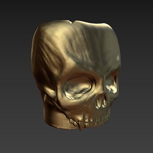 3d skull mug model