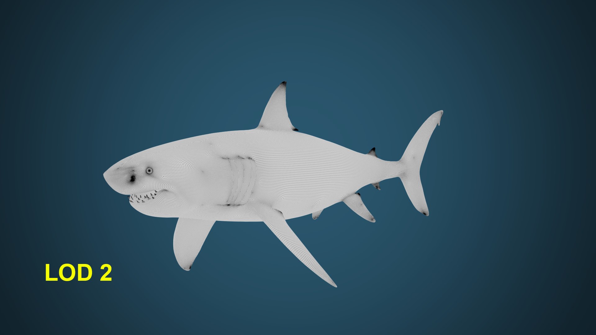 3D model Great White Shark https://p.turbosquid.com/ts-thumb/IN/HkQjKc/et/22_lod2/png/1763652009/1920x1080/fit_q87/d747f8bafdcbd101007aa21f0781002b1fe09e9f/22_lod2.jpg