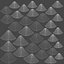 Grand requin blanc