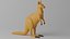 Canguro carino cartone animato 1