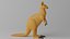 Canguro carino cartone animato 1