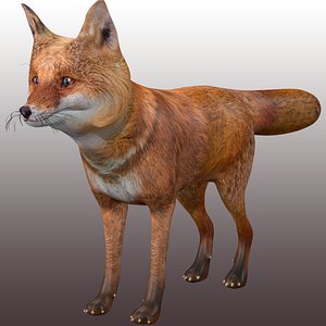 Fox Rigged 3D model
