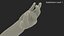 Asian Child Hand OK Pose