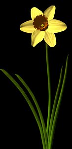 3d model plant flower