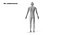 Rigged Human Hybrid neutralny model