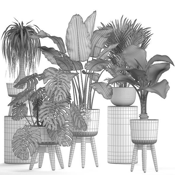 3D ornamental plants pots - TurboSquid 1294306