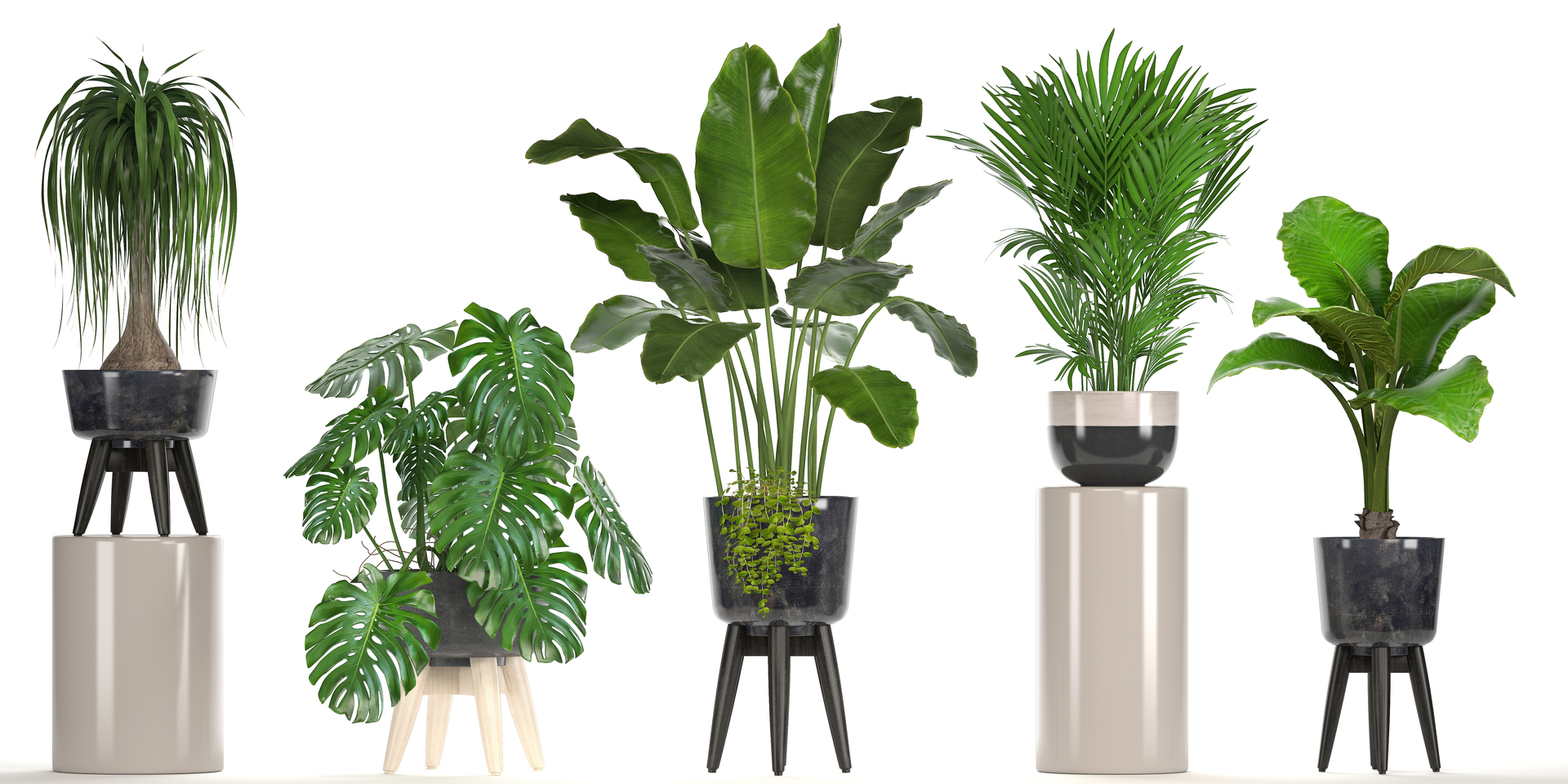 3D ornamental plants pots - TurboSquid 1294306