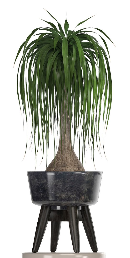 3D ornamental plants pots https://p.turbosquid.com/ts-thumb/IN/nAlXqg/GXOgbuJk/plantset070605/jpg/1528458022/1920x1080/fit_q87/7c3a5e010893615c745be7c07cf74d4fecf39ee0/plantset070605.jpg