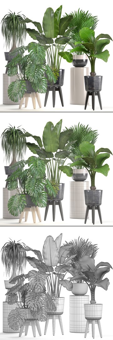 3D ornamental plants pots https://p.turbosquid.com/ts-thumb/IN/nAlXqg/SLvAM2Il/plantset070612/jpg/1528458023/1920x1080/fit_q87/f1d1b3241bc941fdf1259d4096ff75ead612856a/plantset070612.jpg