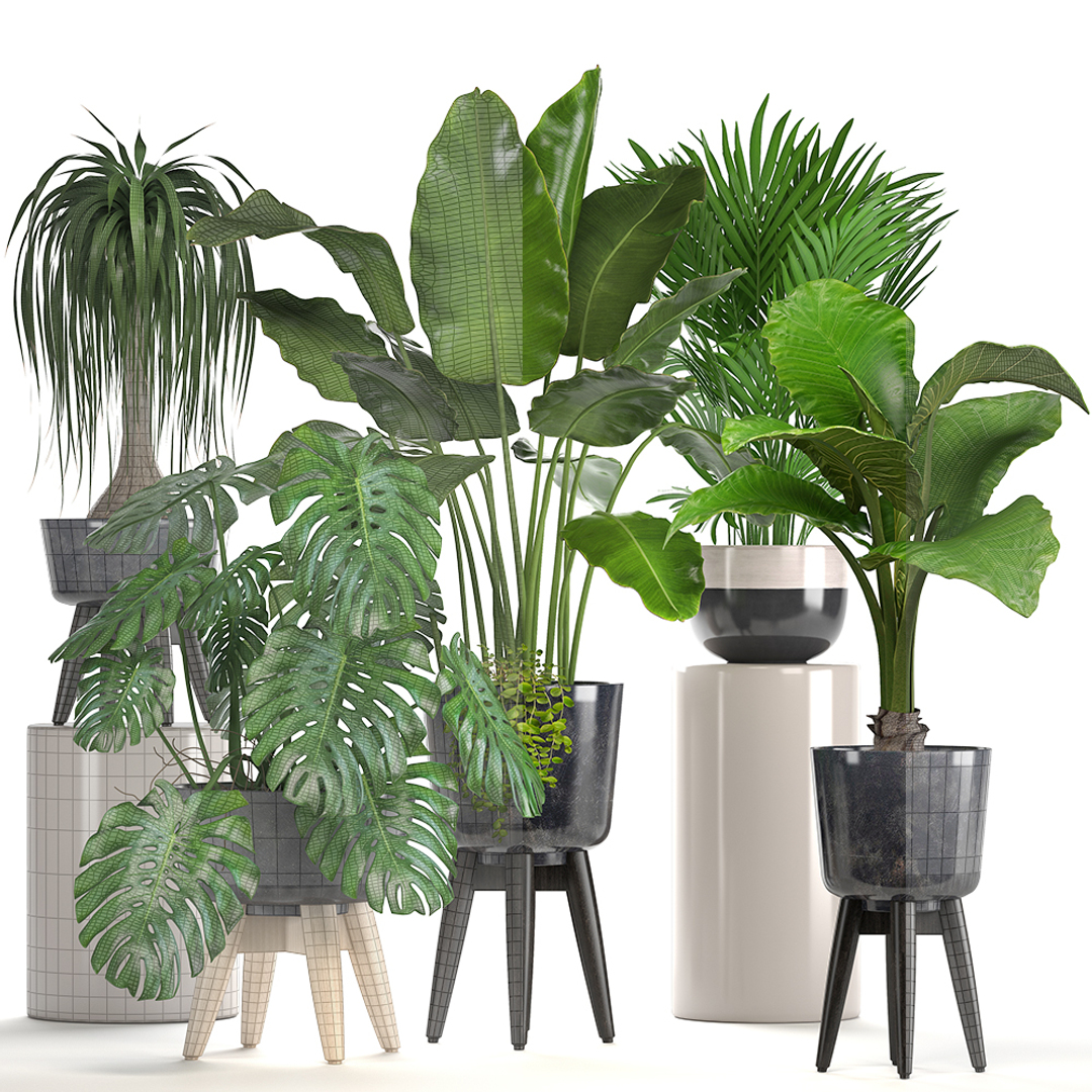 3D ornamental plants pots - TurboSquid 1294306