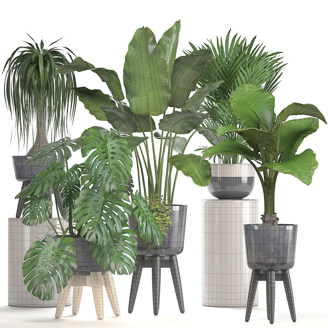 3D Ornamental Plants Pots - TurboSquid 1294306