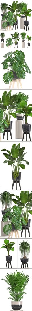 3D ornamental plants pots https://p.turbosquid.com/ts-thumb/IN/nAlXqg/pSqYQ0Si/plantset070615/jpg/1528458023/1920x1080/fit_q87/95e02451fdf46c00e0a4d5641499814b83428538/plantset070615.jpg