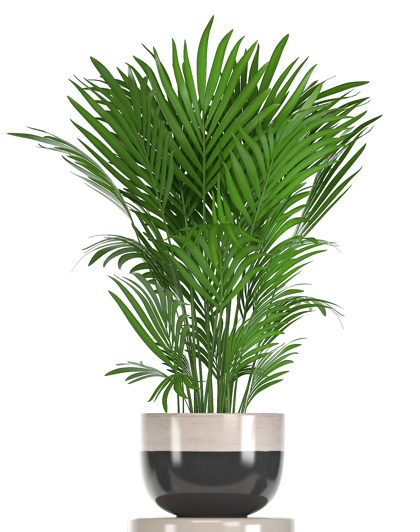 3D ornamental plants pots - TurboSquid 1294306