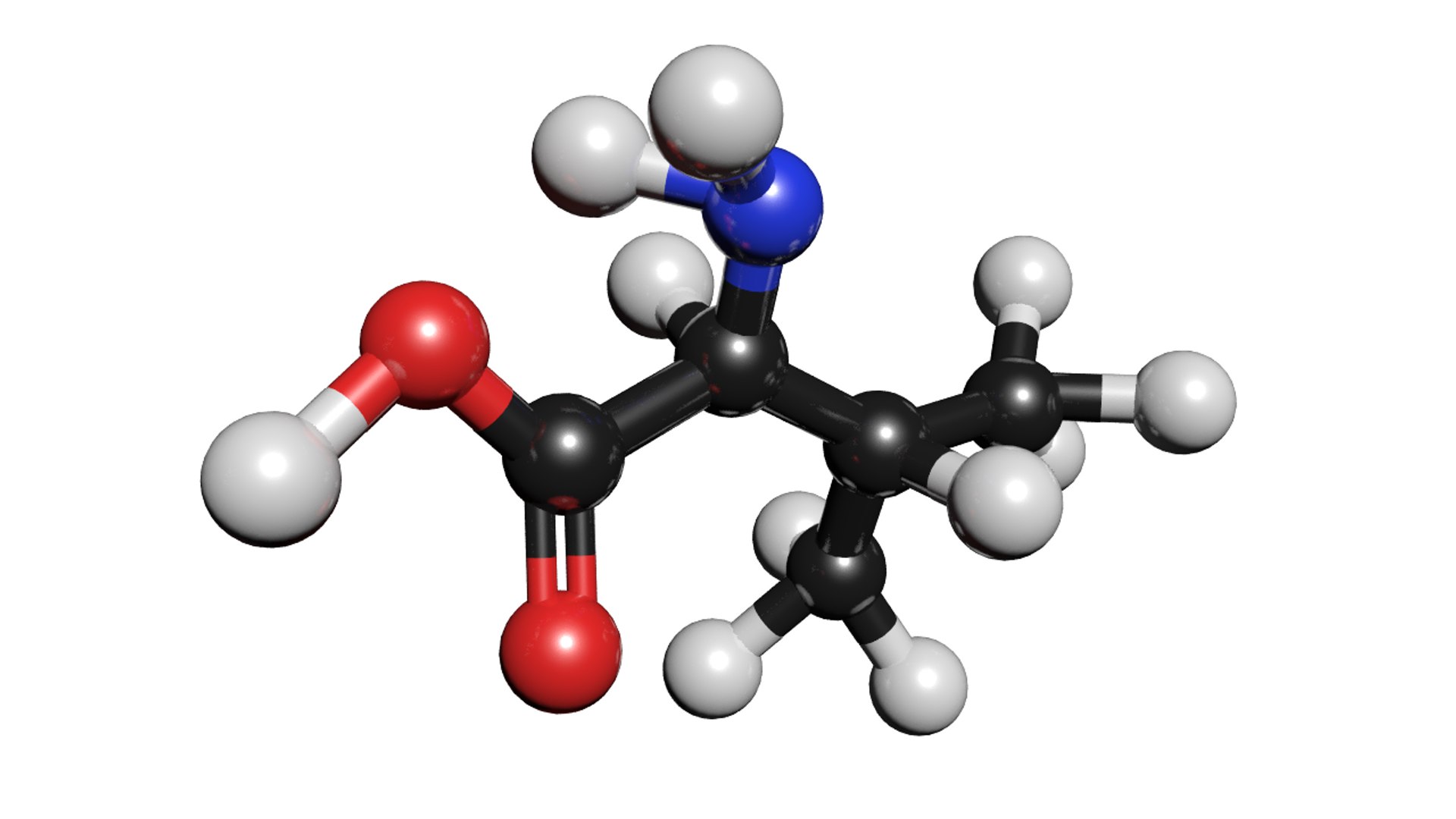 Valine molecule c5h11no2 3D model - TurboSquid 1427444