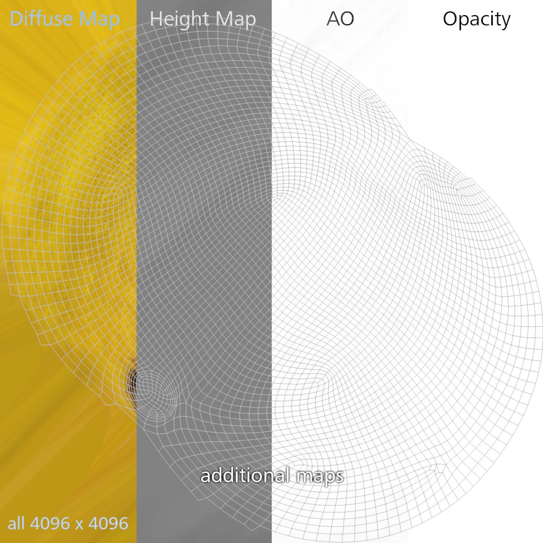 3D lemon scan https://p.turbosquid.com/ts-thumb/IN/z7GqC0/zXBaNE1i/20_0002_scan_lemon001_texture_z_additional/jpg/1582625319/1920x1080/fit_q87/16e7c91b9585b1e90899fd2a7a2a0078eda0a878/20_0002_scan_lemon001_texture_z_additional.jpg